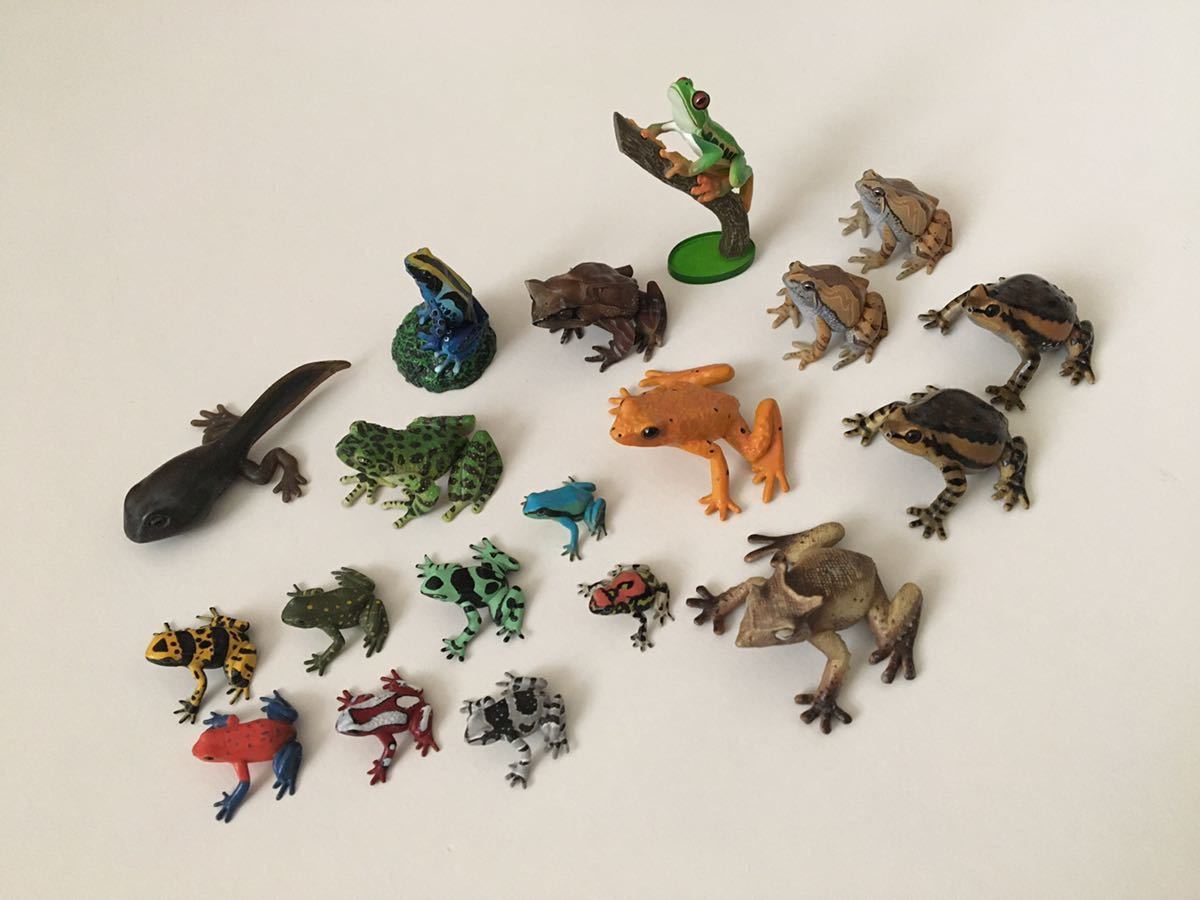YUJIN 原色両生類 カエル図鑑 蛙 おたまじゃくし フィギュア YUJIN 原色両生類 カエル図鑑 蛙 おたまじゃくし フィギュア