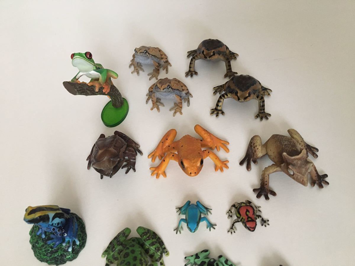 YUJIN 原色両生類 カエル図鑑 蛙 おたまじゃくし フィギュア YUJIN 原色両生類 カエル図鑑 蛙 おたまじゃくし フィギュア