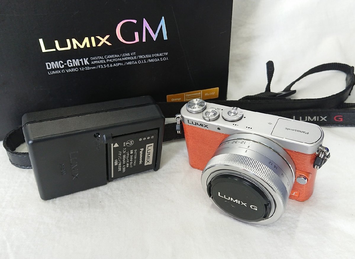 在庫在庫あ Panasonic ミラーレス DMC-GM1K 12-32mmレンズキット FlIV8