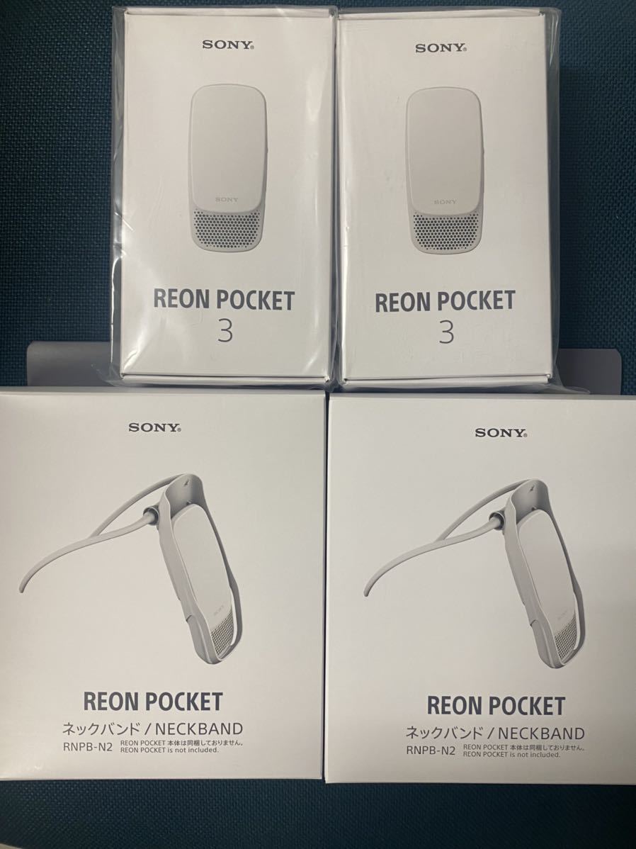 SONY - SONY REON POCKET 3（レオンポケット3） RNP-3/Wの+