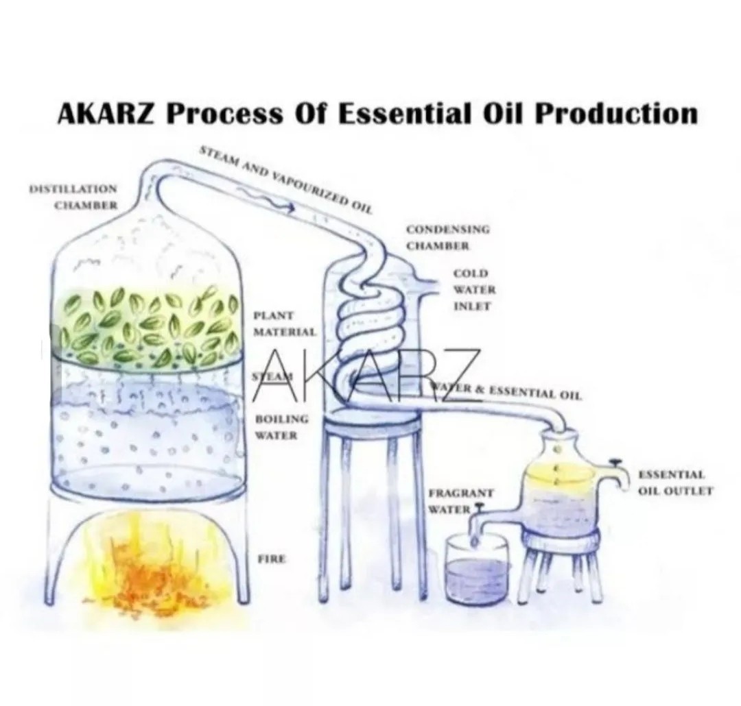 AKARZ アロマオイル オスマンサス キンモクセイ 10ml エッセンシャルオイル