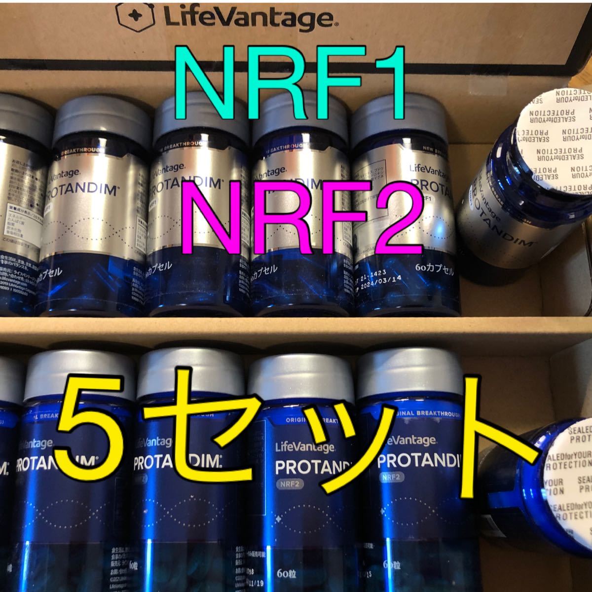 NRF1 NRF2 ライフバンテージ プロタンディム 5セット www