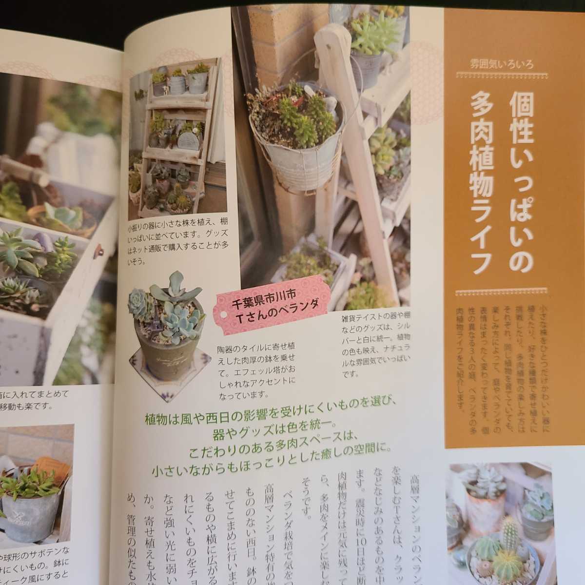  впервые .. суккулентное растение садоводство книга@ суккулентное растение садоводство литература 