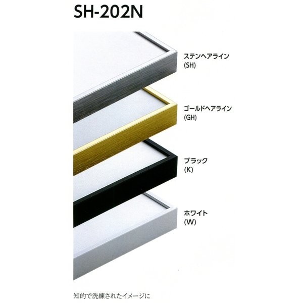 デッサン用額縁 アルミフレーム SH-202N サイズ大全紙-