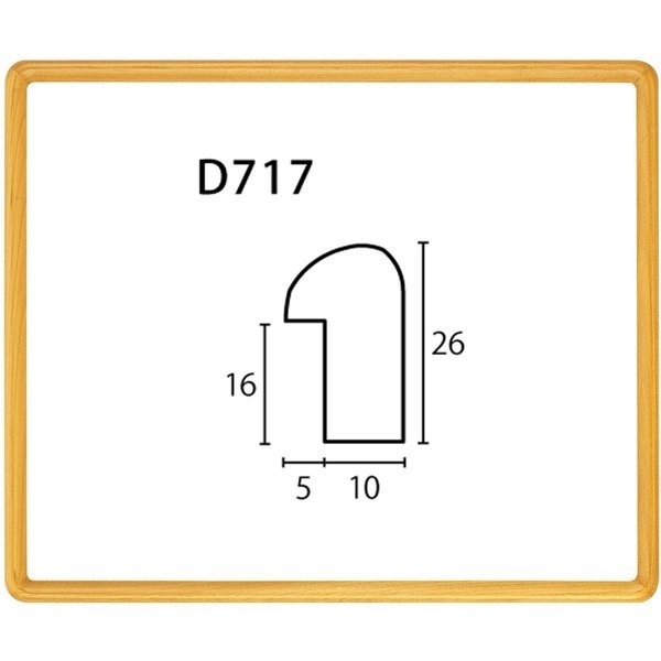 デッサン用額縁 木製フレーム D717 アクリル付 小全紙-