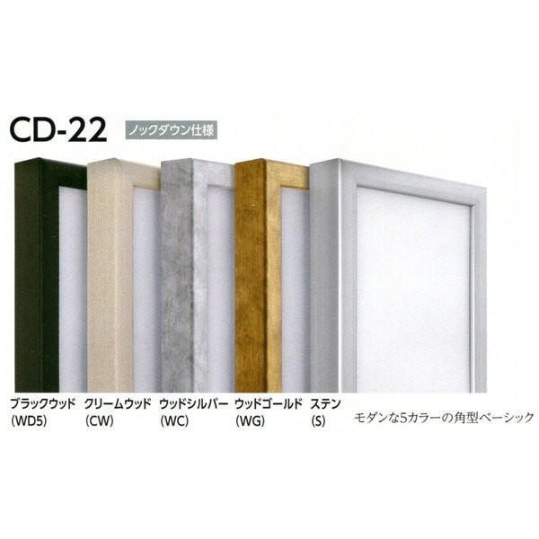 油彩額縁 油絵額縁 アルミフレーム 仮縁 CD-22 サイズP200号