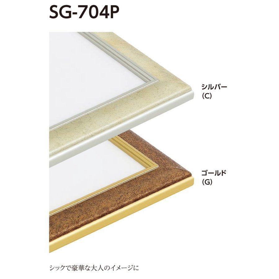 水彩用額縁 アルミフレーム 大サイズ軽量タイプ SG-704P サイズ20P