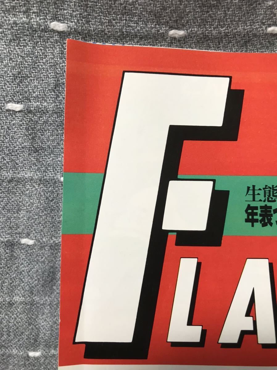 【美品】 【送料無料】 写真週刊誌 FLASH フラッシュ 1994年3月1日発行　麻生真宮子ヘア　松井エミ　西野妙子　栗尾美恵子_画像4