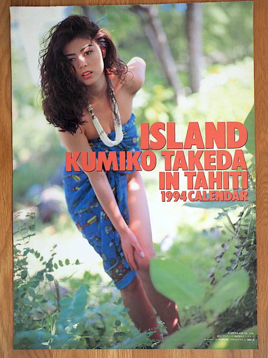 1994年 武田久美子 カレンダー 「ISLAND」 切り離し品