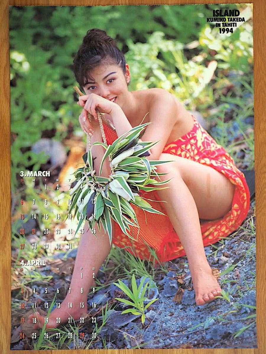 1994 year Takeda . beautiful . calendar [ISLAND] cut ... goods 