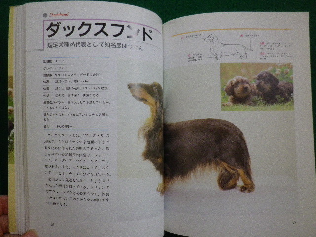# dog . select therefore. love dog illustrated reference book 1993 year west higashi company . wistaria britain man ..#FAIM2021083020#