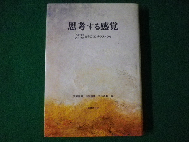 ■思考する感覚　イギリス・アメリカ文学のコンテクストから　国書刊行会　1996年■FASD2021092714■_画像1