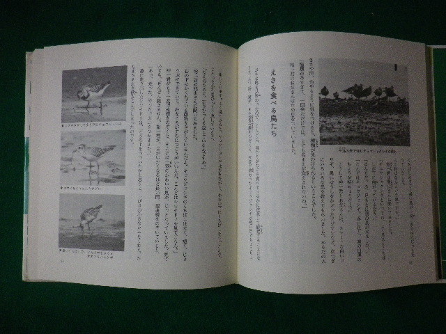 ■神奈川の理科ものがたり　「神奈川の理科ものがたり」刊行会　日本標準　昭和58年■FASD2020062310■_画像2