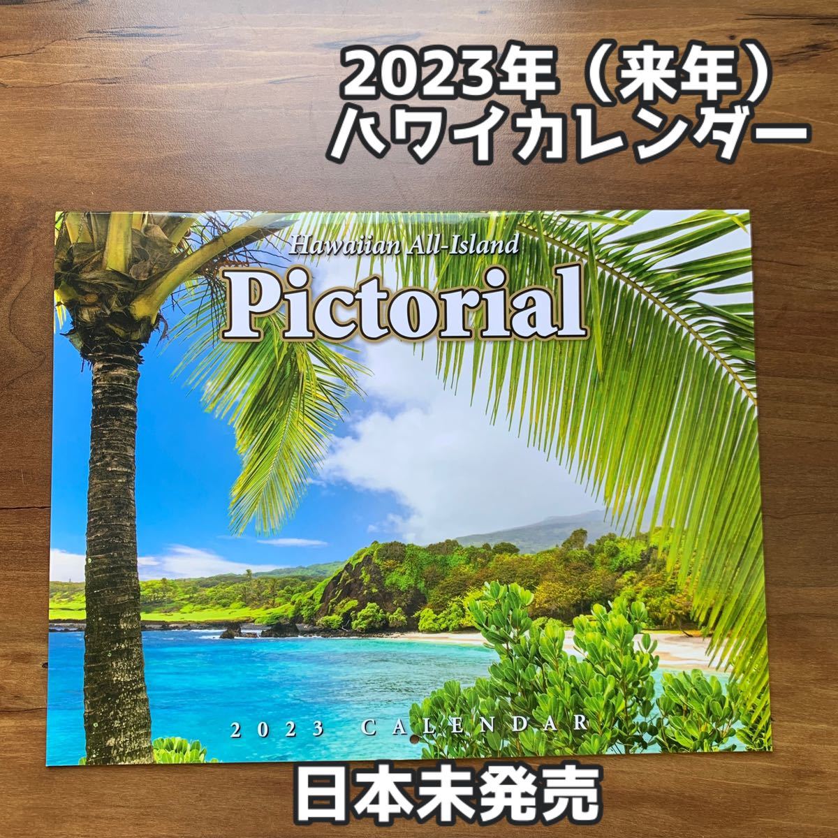 新品未使用＊Hawaii限定2023年カレンダーキーホルダーセットハワイお土産 通販