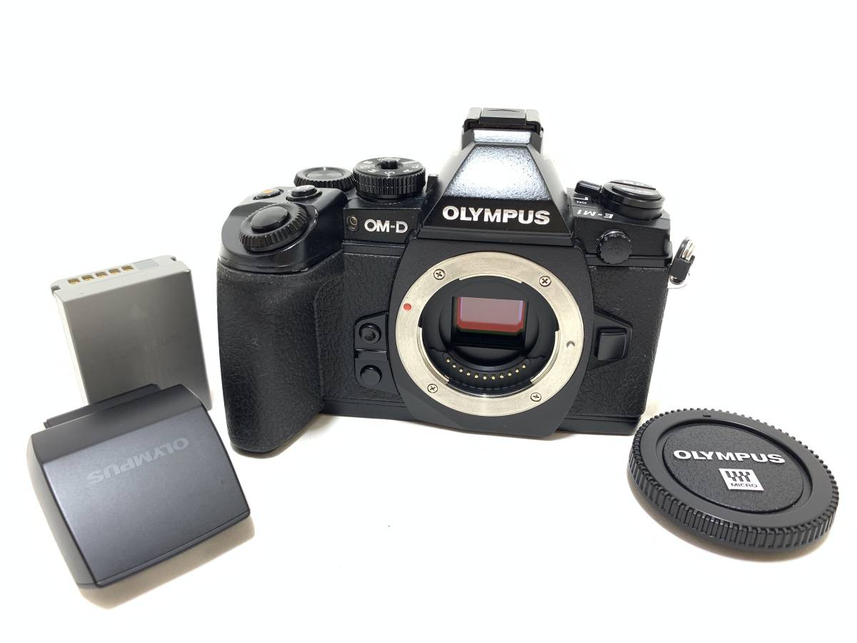 a0025 【並品】 シャッター数36,814回 OLYMPUS オリンパス OM-D E-M1