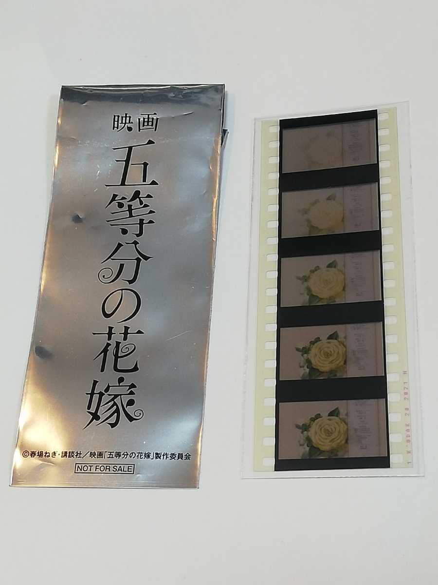 映画五等分の花嫁 入場者特典第6弾 生コマフィルム 激レア 映画五等分の花嫁 入場者特典第6弾 生コマフィルム 激レア