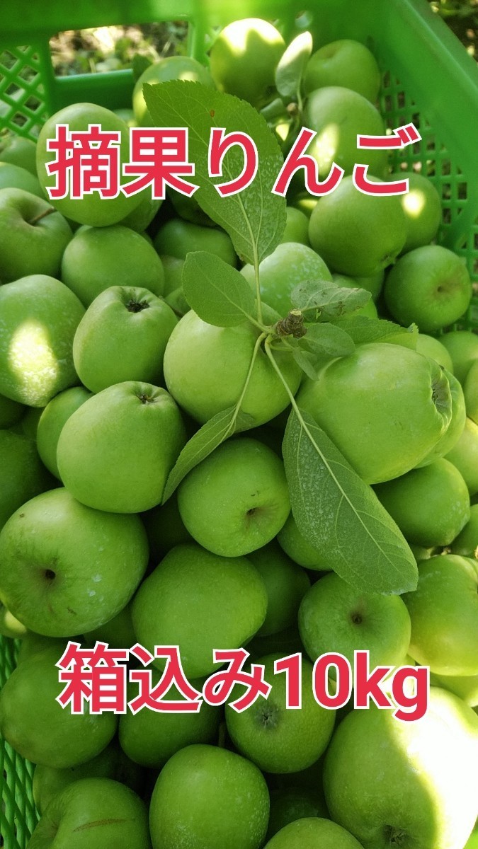 総合福袋 岩手県産 りんご 摘果 MIX 9～10kg