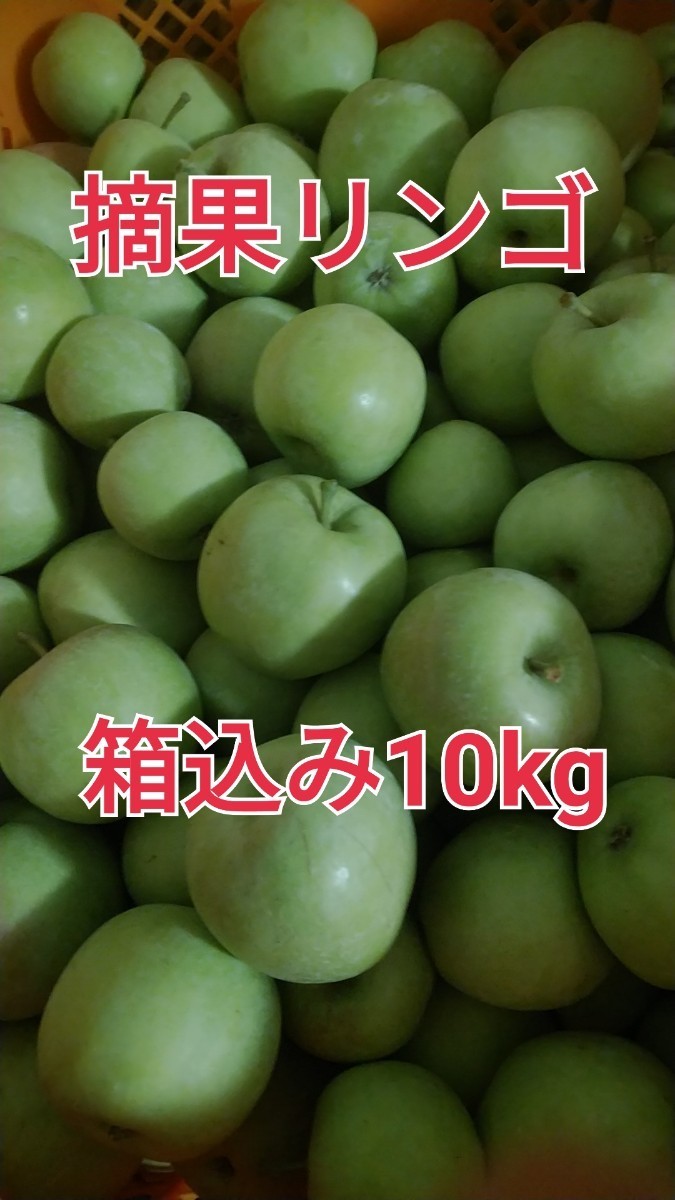 摘果りんご　10kg＋1kg
