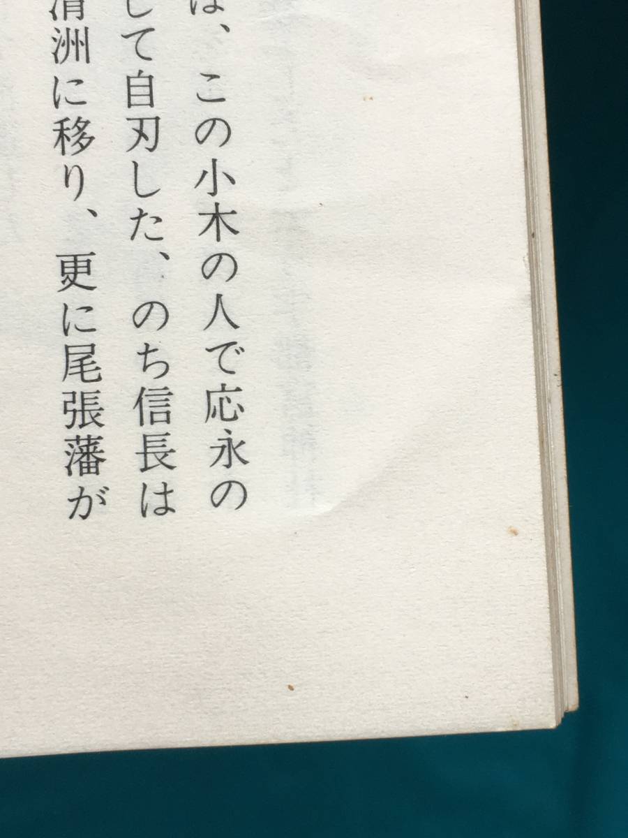 BH887サ●「井上城」 浅野平雄 昭和52年 愛知県岩倉市/尾張/郷土/寺/神社/古文書_画像7