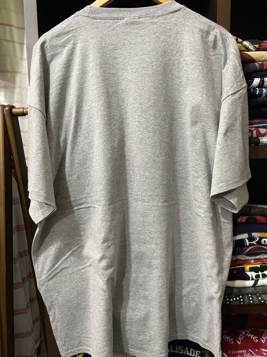 ★USA古着　自然　登山　プリント　グレー　lightgray PORT&COMPANY 3XL 大きいサイズ_画像3