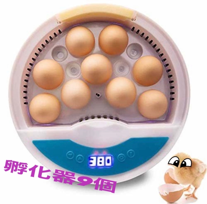  in kyu Beta - inspection egg LED light birds exclusive use . egg vessel .. vessel maximum 9 piece insertion egg OKhi width child education for home use detailed Japanese instructions attaching new goods y