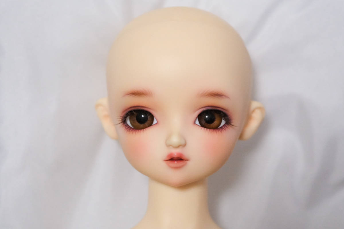 ふるさと割】 SD13 www.esnmurcia.org SD13 ワンオフモデル ワンオフ