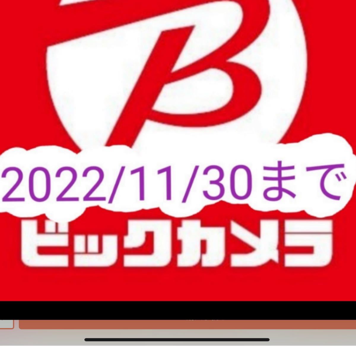 ビックカメラとコジマ分-