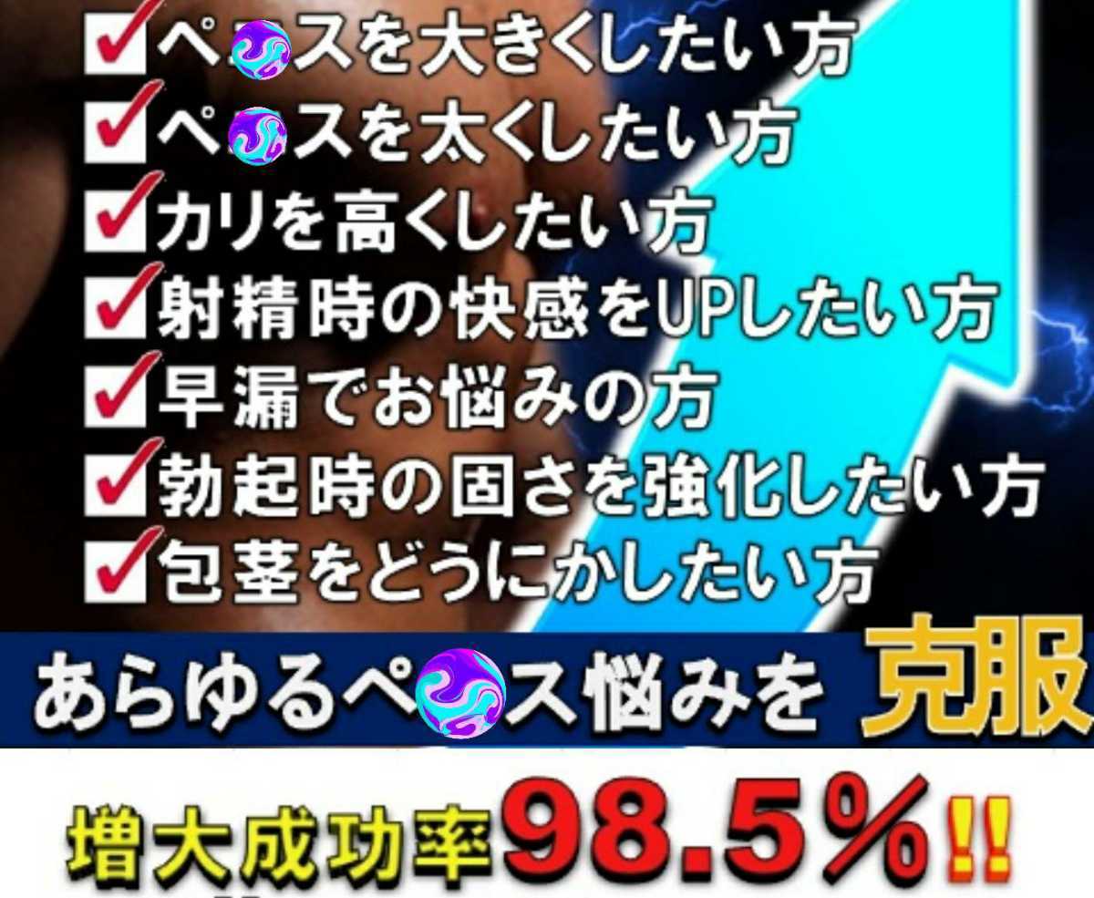 ビッグガン 1袋 昇龍王 グラビア 写真集 オモチャ 18 禁　ED・早漏　壇蜜　中折れ　精力減退　精力活力　増大効果 長さ　太さ　硬さ_画像4