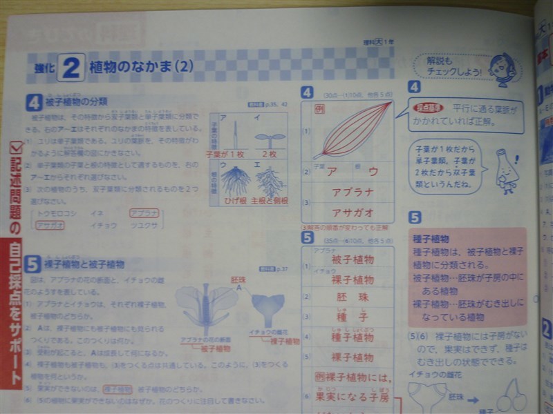 ★試験・効率★ 2022年版 単元プリント 基礎をきずく 理科 1年 〈大日本図書〉 【教師用】_画像5