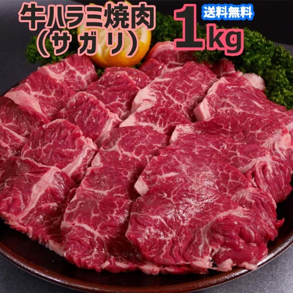 味付け無し 牛 ハラミ 焼肉（サガリ）１ｋｇ（５００ｇ×２P）４人～６人前 バーベキュー用_画像1