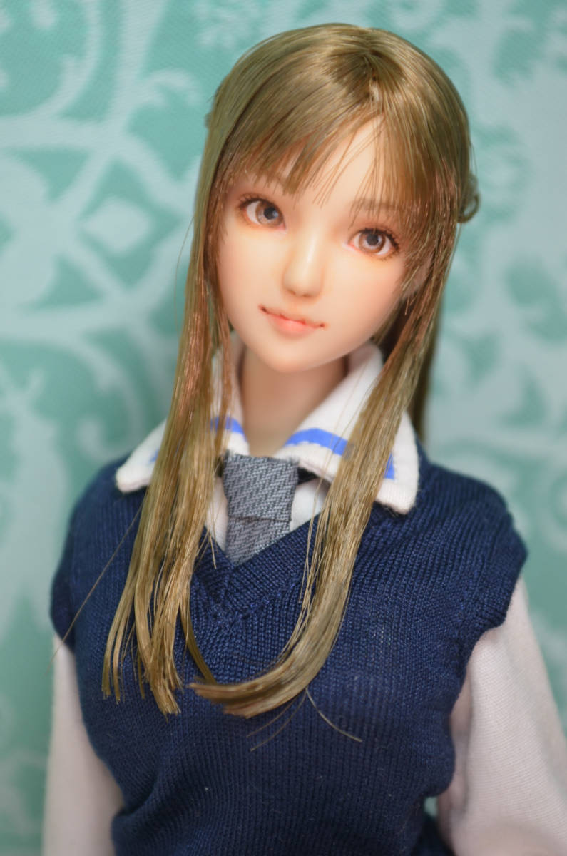 カスタムヘッド 1/6完全超柔軟性シームレス ボディ www.esnmurcia.org