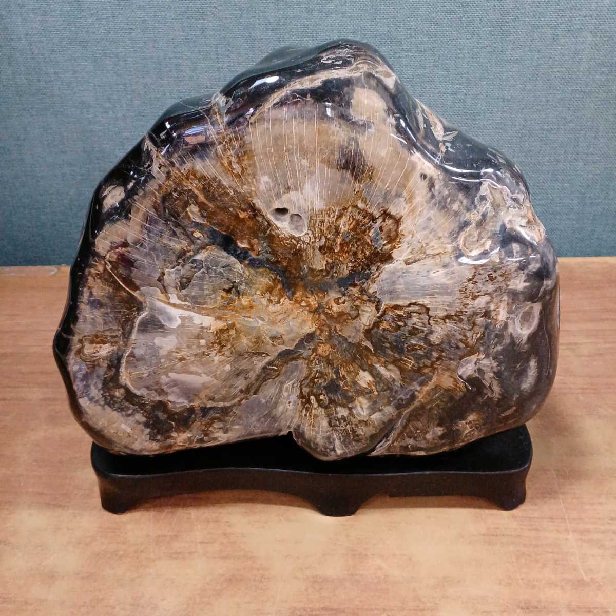 木化石 珪化木? 木の化石 鉱物標本 鉱物 結晶化 天然石? 鑑賞石 骨董