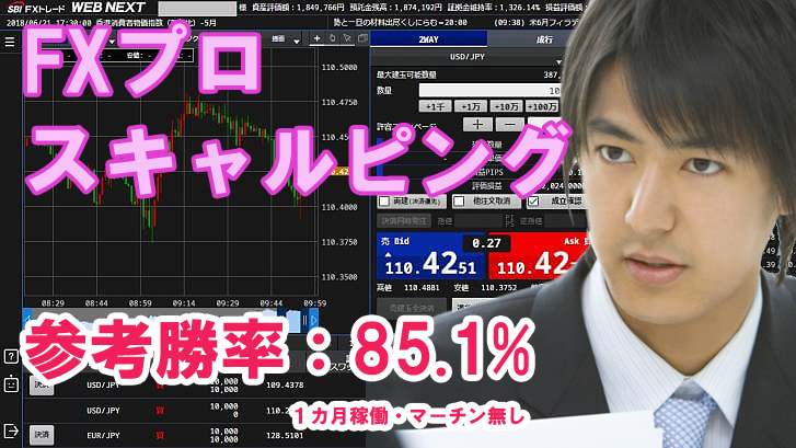 日給20万円以上も可能：FXのプロ スキャルピング トレード手法＝勝率85％ 必勝法 デイトレード 投資 トレンド テクニック サインツール_画像1