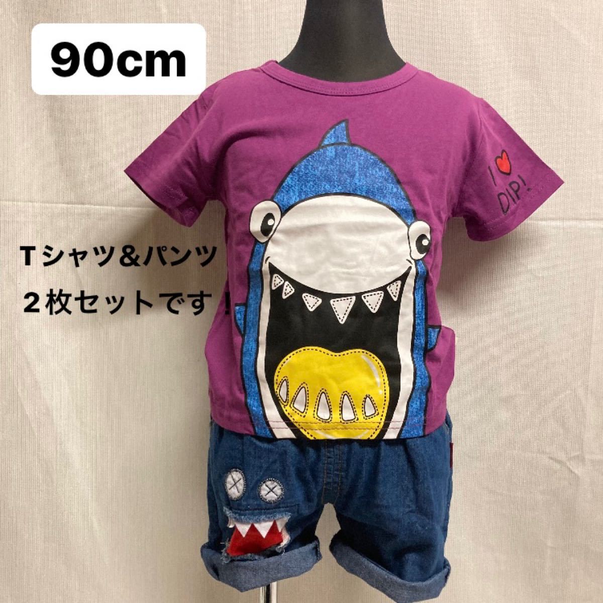 90cm  パープル　Tシャツ　パンツ　2点セット　セットアップ　キッズ　子供　男の子