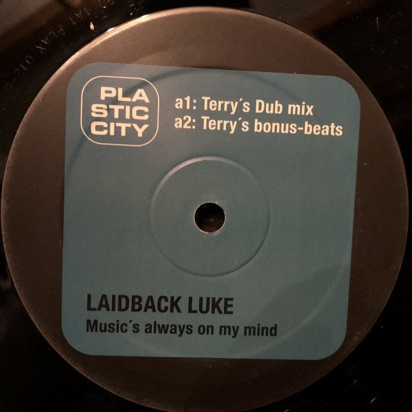 Laidback Luke / Music's Always On My Mind_画像2