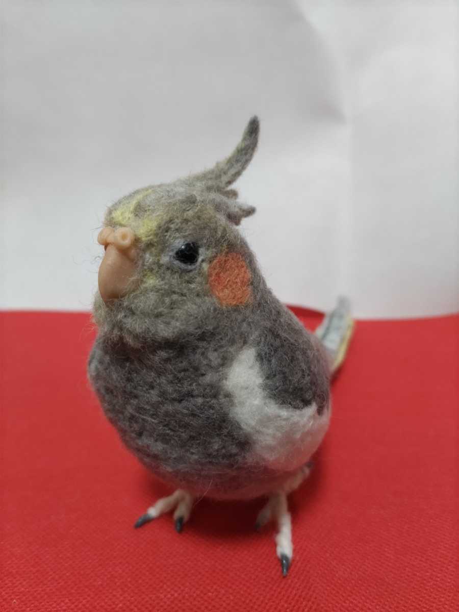 オカメイン ヤフオク 羊毛フェルト オカメインコ ノーマル メス ハン にワイヤー Shineray Com Br オカメイン ヤフオク 羊毛フェルト オカメインコ ノーマル メス ハン にワイヤー Shineray Com Br