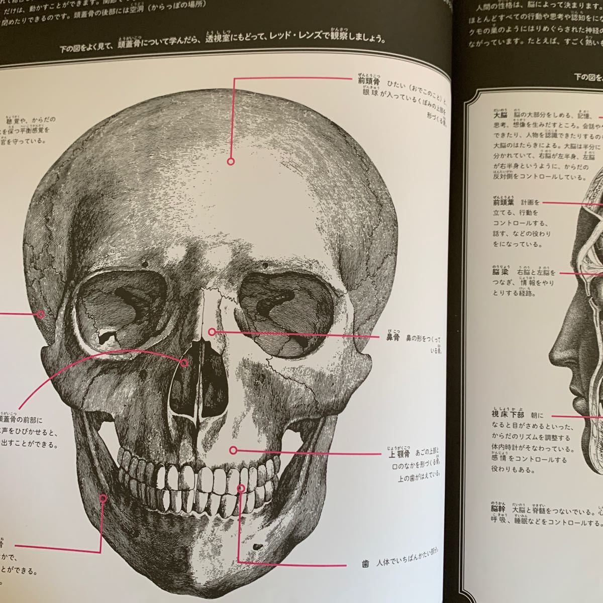 イルミネイチャー からだのなかを大冒険