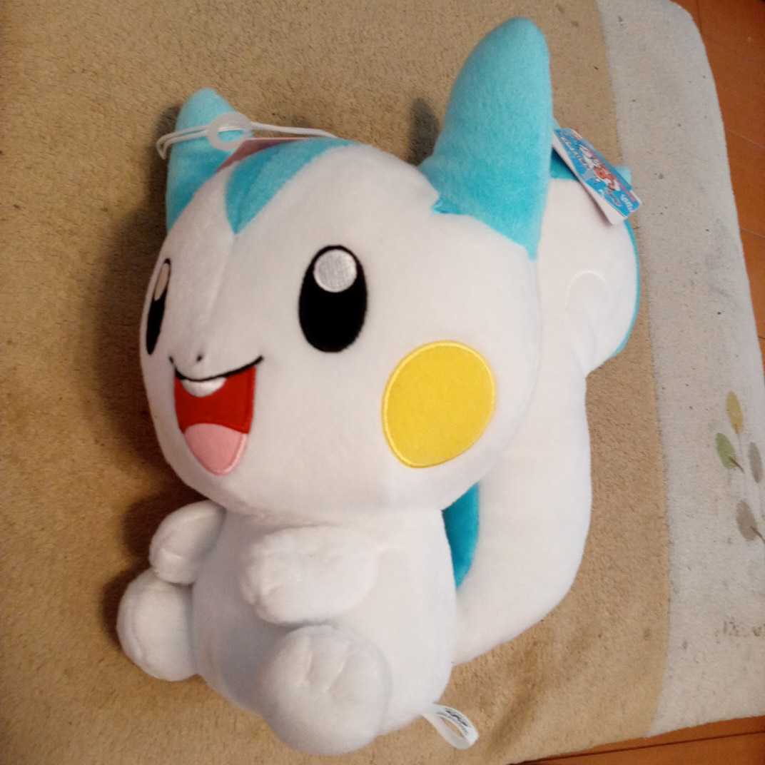 最安挑戦 パチリス ポケモン しっぽみてみて でっかいぬいぐるみ Www Lacistitis Es 最安挑戦 パチリス ポケモン しっぽみてみて でっかいぬいぐるみ Www Lacistitis Es