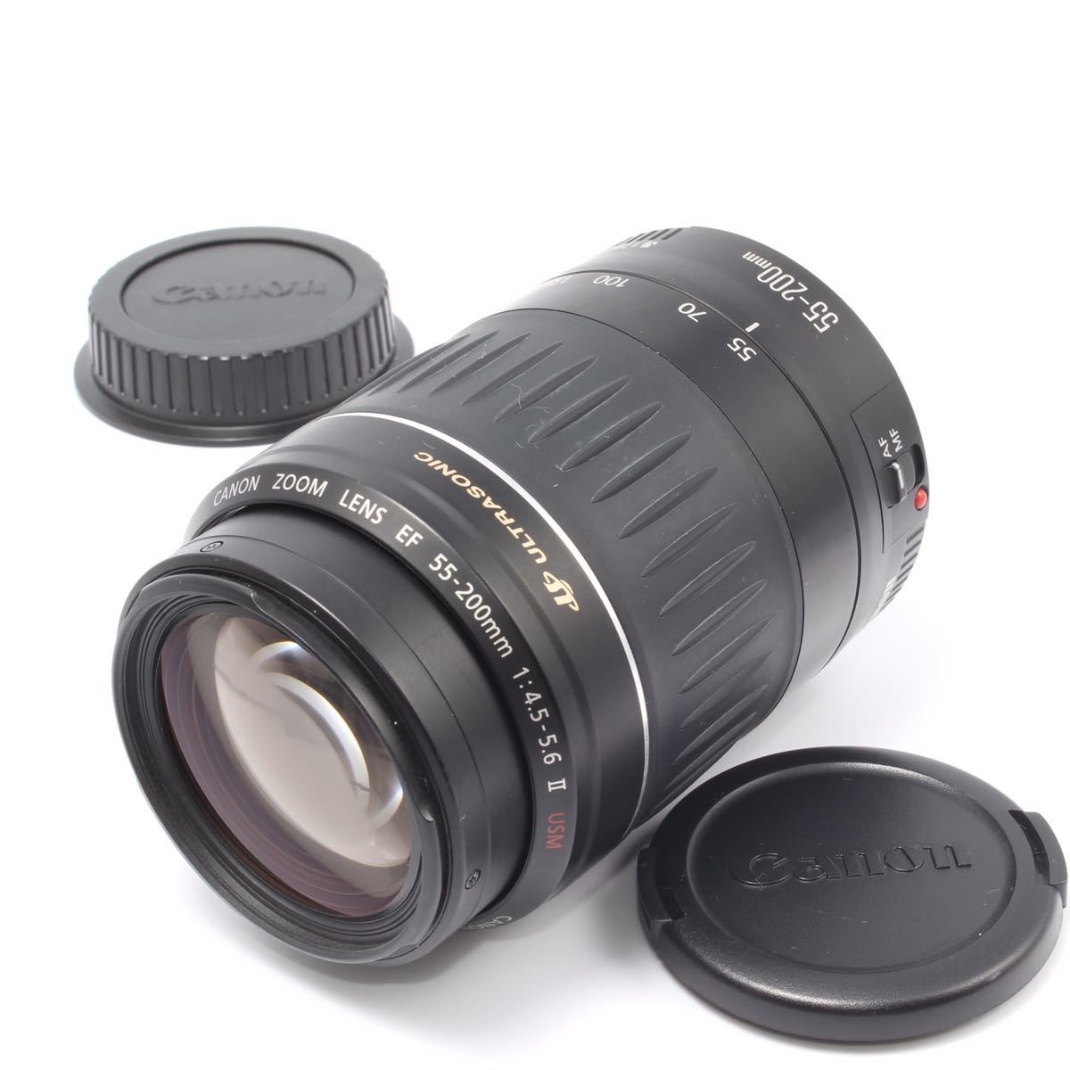 大迫力の望遠レンズキヤノン Canon EF 55-200mm（No.503）