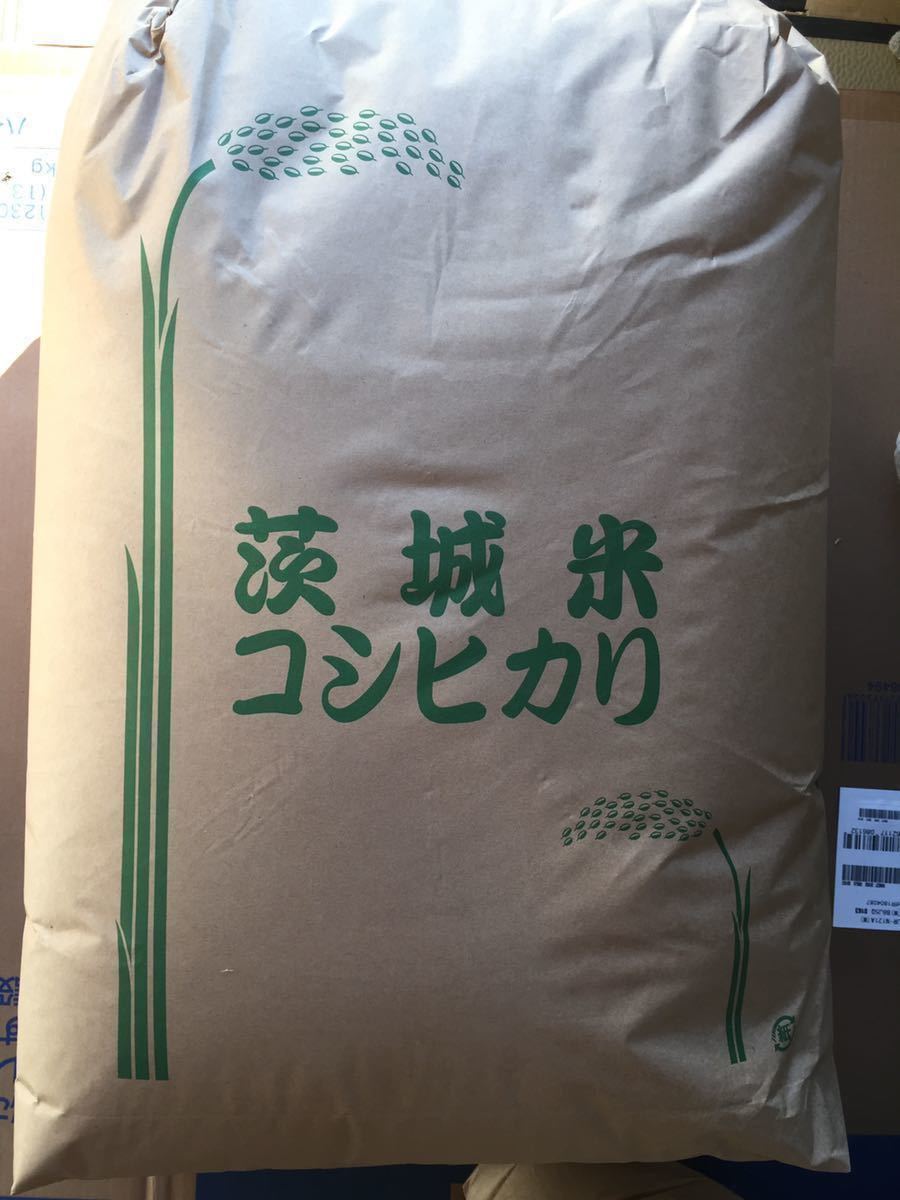 令和3年 茨城 茨城県産 JGAP認定農場　特別栽培米　こしひかり コシヒカリ 無農薬 10kg 低温貯蔵庫 玄米 ご飯_画像1