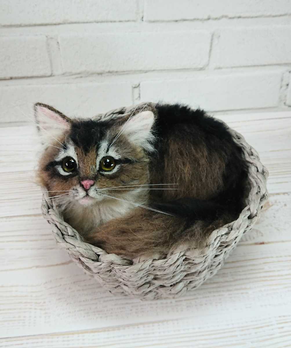 M Neko 羊毛フェルト ソマリ 子猫 ネコ ハンドメイド 羊毛フェルト 売買されたオークション情報 Yahooの商品情報をアーカイブ公開 オークファン Aucfan Com M Neko 羊毛フェルト ソマリ 子猫 ネコ ハンドメイド 羊毛フェルト 売買されたオークション情報 Yahooの商品情報をアーカイブ公開 オークファン Aucfan Com