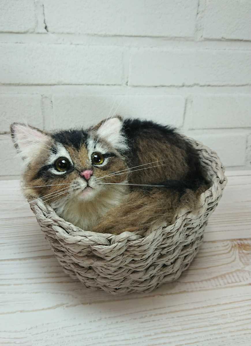 ゆったり柔らか 羊毛フェルト 猫 ソマリ ネコ ねこ ハンドメイド
