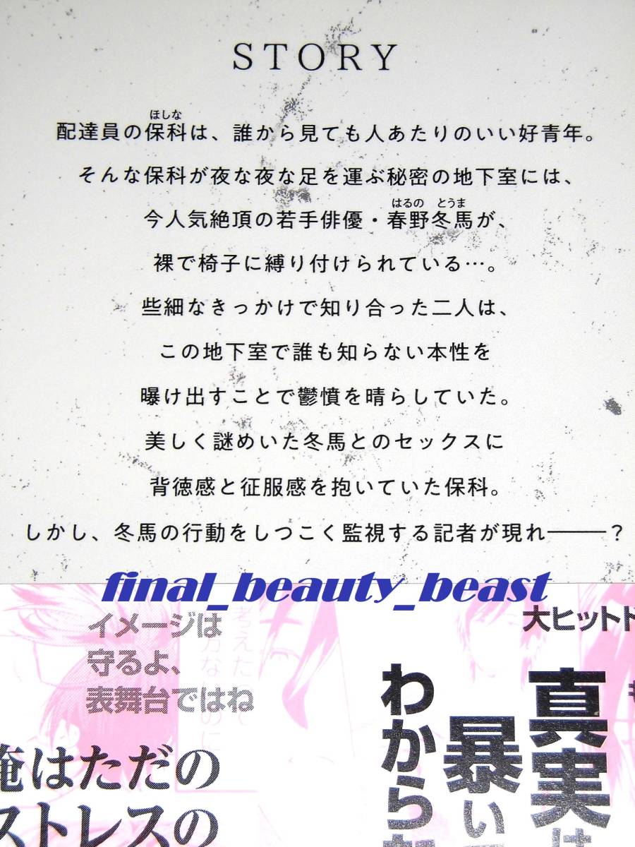 即決◆BL◆キアロスクーロの肖像 本田あき◆コミコミスタジオ特典リーフレット＆出版社ペーパー付き GUSHコミックス 海王社_画像2