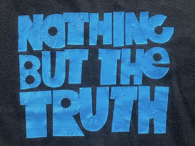 NIKE SB　Nothing but the Truth　Tシャツ　Large　ナイキ_画像5