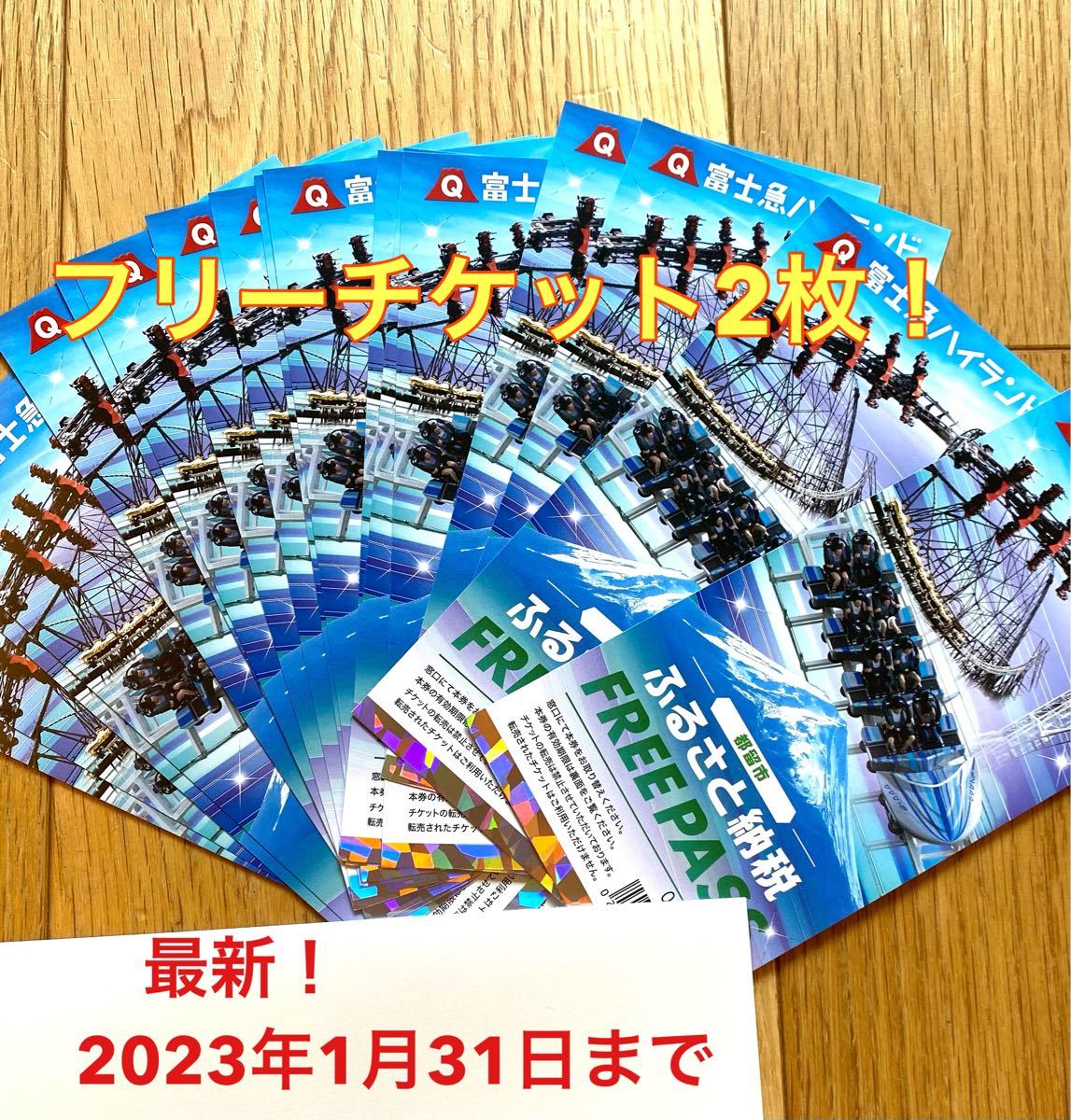 富士急ハイランド フリーパス 2名分 追加可能 有効期限：2023年1月末-