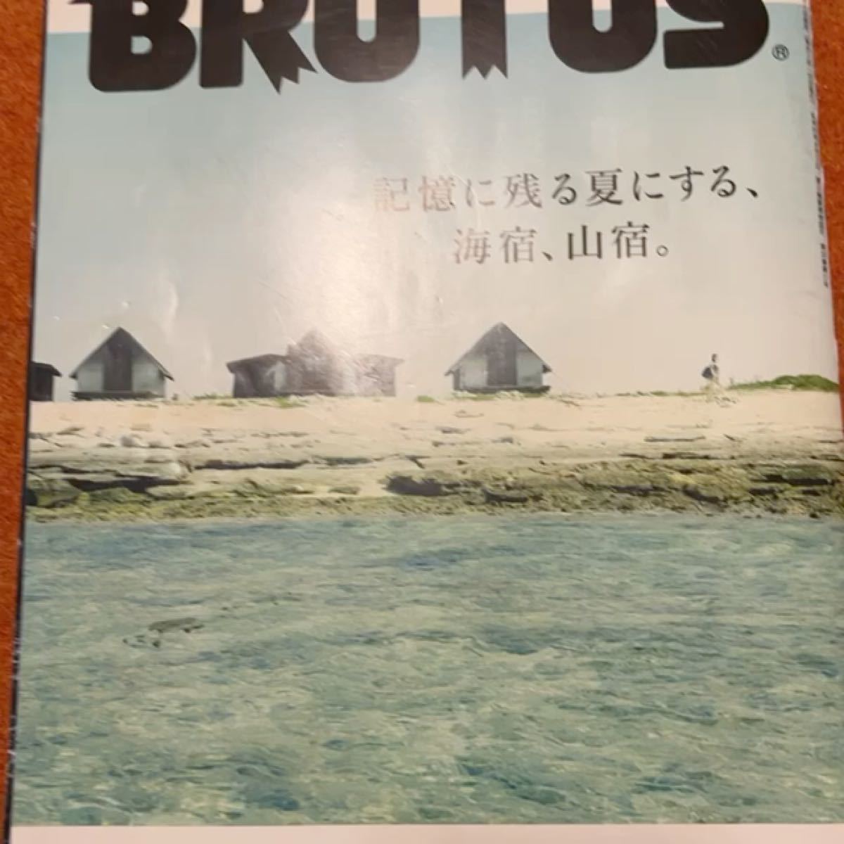 BRUTUS 2012年6月15日号