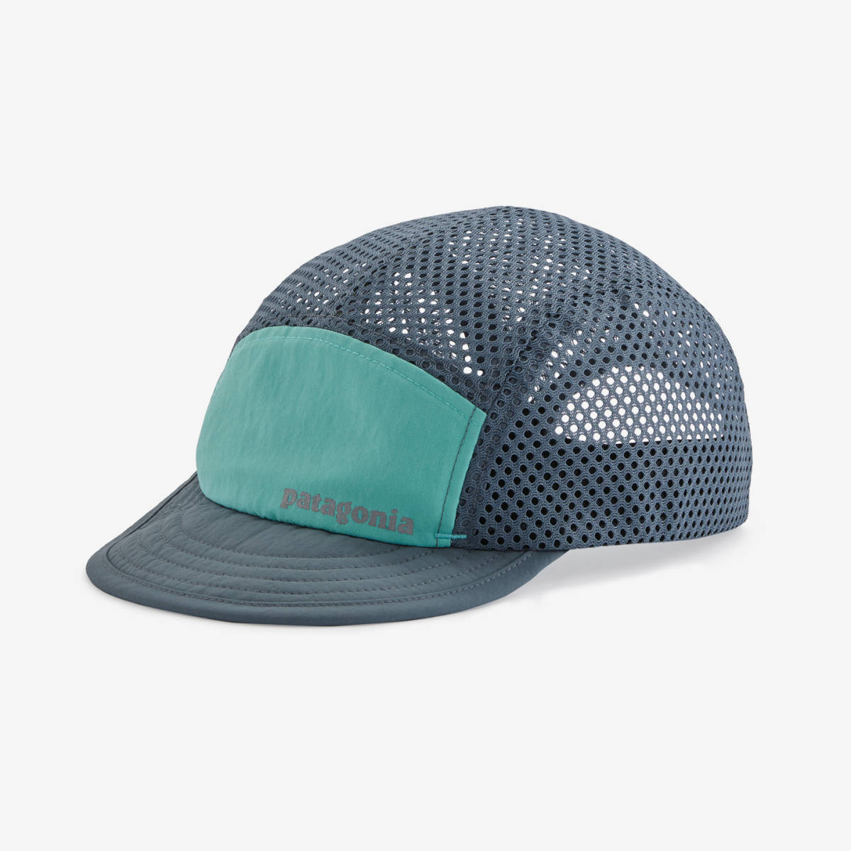 豪奢な 極美品 patagonia ダックビルキャップ メッシュ 廃番希少品