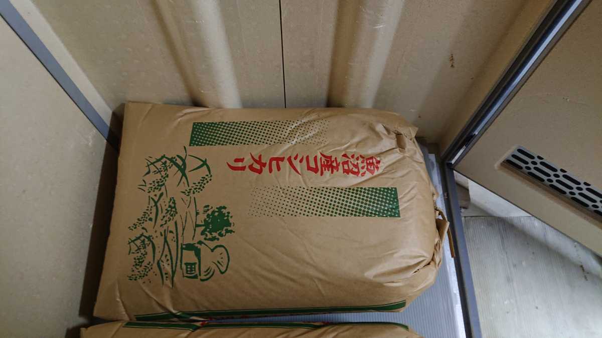 魚沼産コシヒカリ BL 新潟産十日町産 約30kg1袋 玄米 保有米