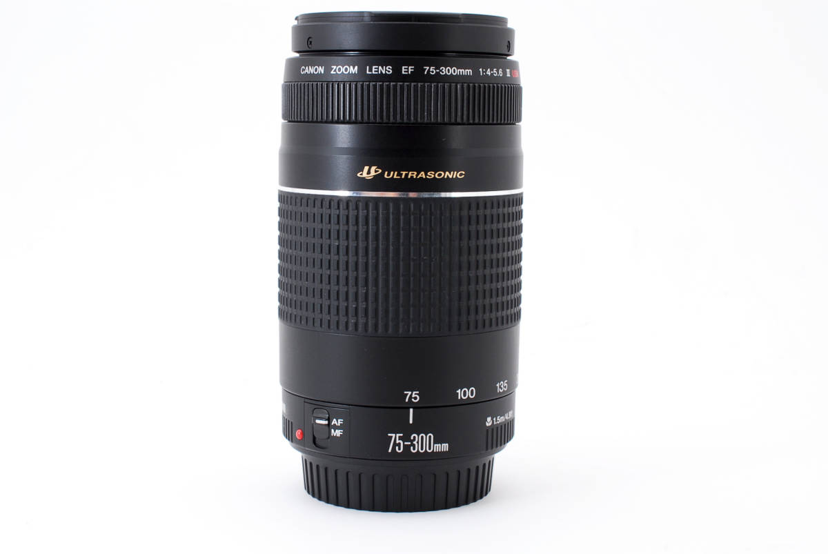 キャノン Canon EF 75-300mm F4-5.6 III USM 望遠 ズーム レンズ [美品] #571_画像9