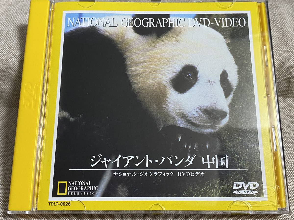 ジャイアント・パンダ 中国 ナショナル・ジオグラフィック DVD 57分収録 日本盤_画像1
